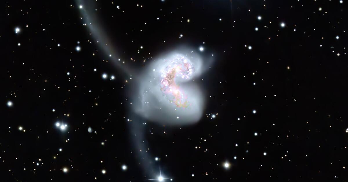 The Antenna Galaxies NGC4038 and 4039 | Telescope Live